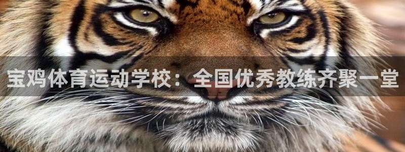 678体育