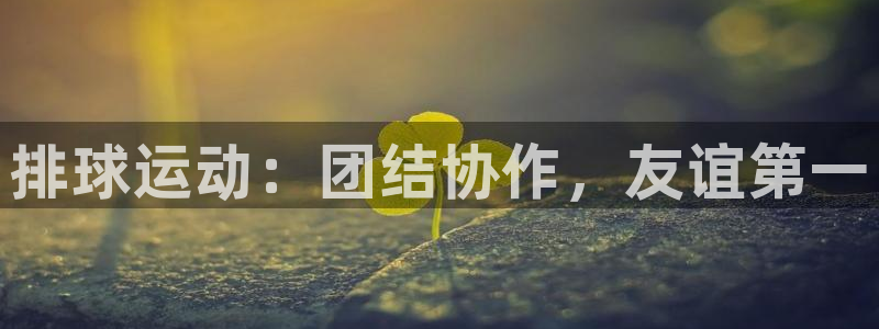 678体育官网地址：排球运动：团结协作，友谊第一