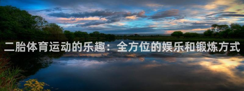 678体育app：二胎体育运动的乐趣：全方位的娱乐和锻炼方式