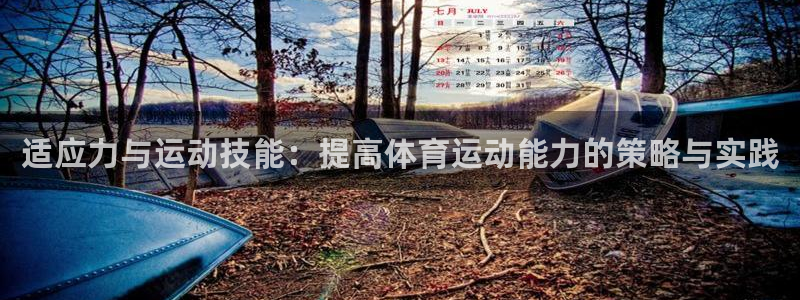 678体育官网