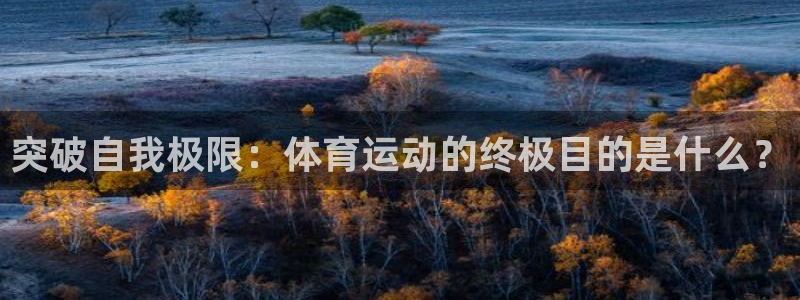 678体育官网