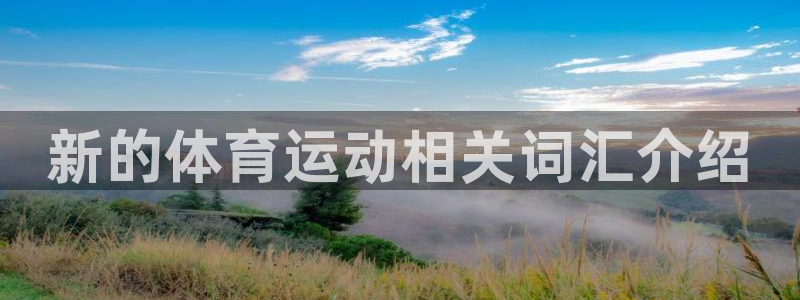 678体育知识