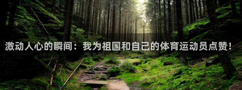 678体育官网地址