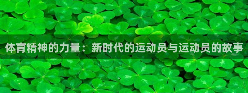 678体育官网地址