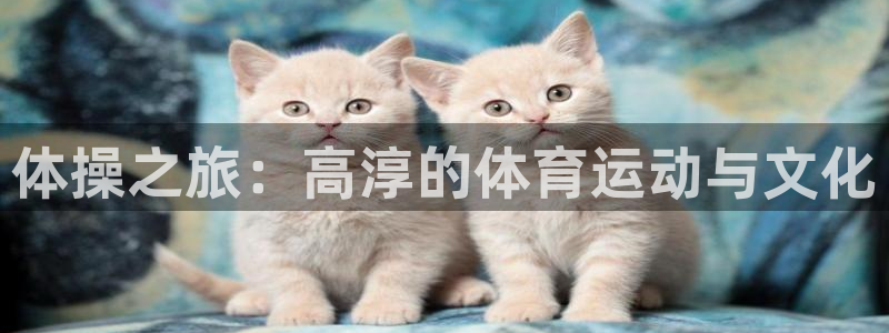 678体育官网下载