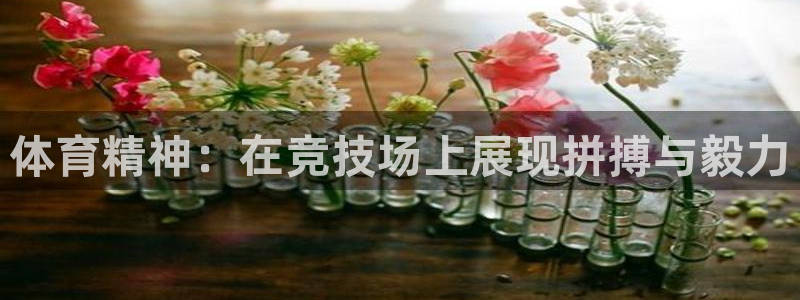 678体育官网下载