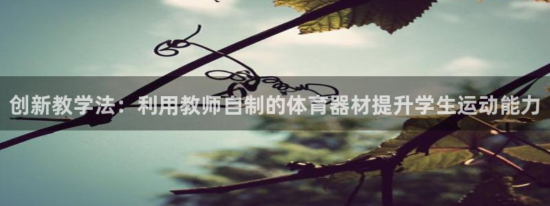 678体育app